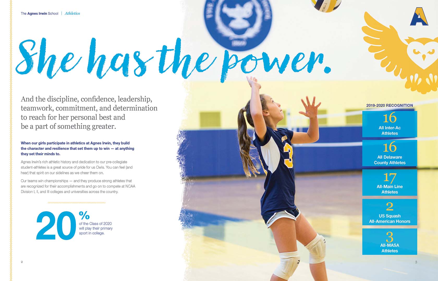 Photo of The Agnes Irwin School